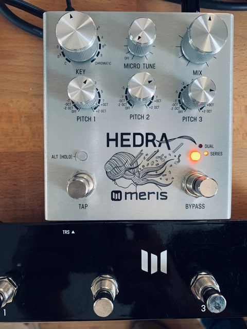 HEDRA Rythmic Pitch Shifter / MERIS + PRESET SWITCH