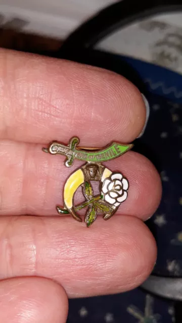 Daughters Of The Nile Enameled Pin, Masonic Sisters,