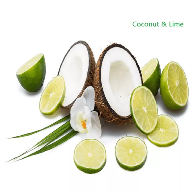 PREMIUM HIGHLY SCENTED REED DIFFUSER REFILLS - Coconut & Lime Fragrance