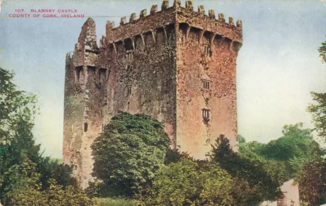 Cork Ireland, Blarney Castle, County of Cork, Vintage Postcard