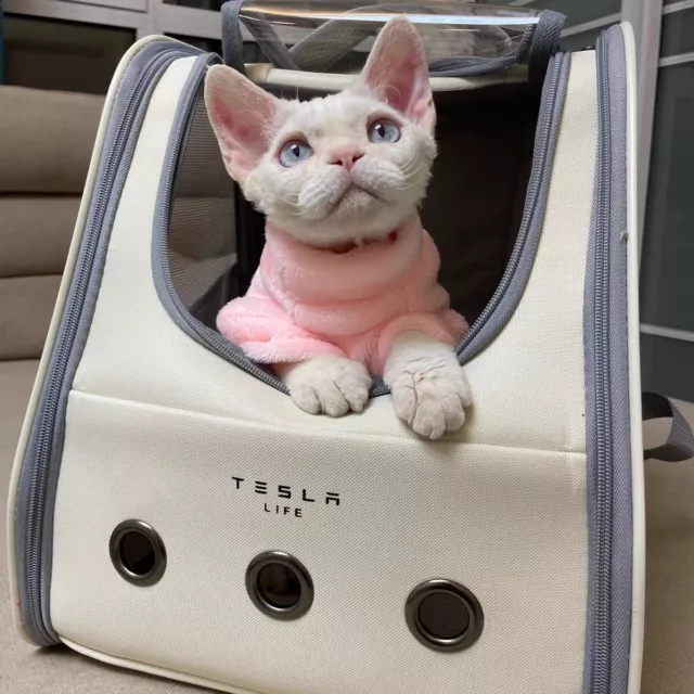 🔥🔥🔥Tesla Life Official Window Dog Cat Pet Travel Bag Carrier Backpack 🔥🔥🔥