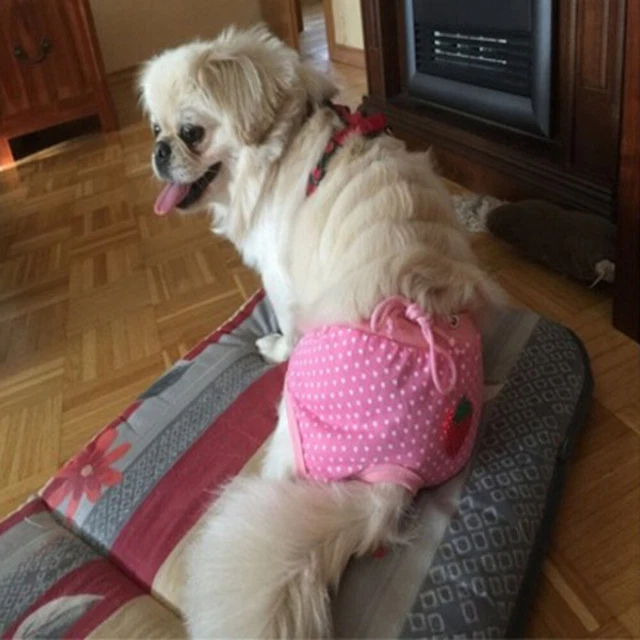 Pet Windel Hygiene Physiologische Hosen Dot Strawberry Waschbare Männliche