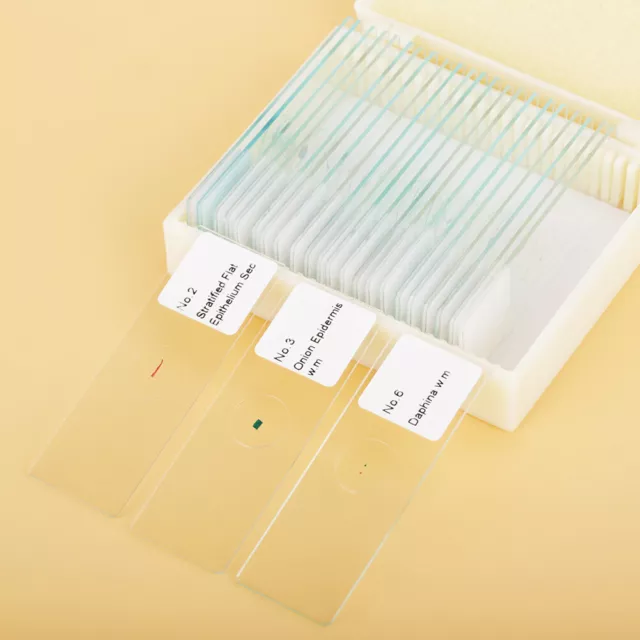 25pcs Biology Glass Prepared Microscope Slides Lab Specimens With Box