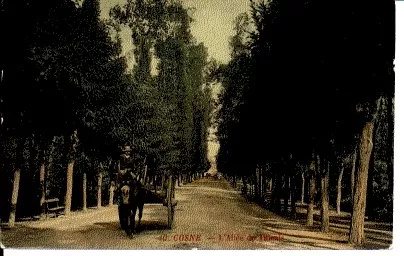 (S-31714) France - 58 - Cosne Course Sur Loire Cpa