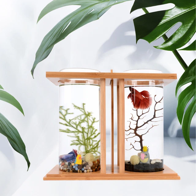 Small Betta Desktop Dual Glass Fish Tank Mini Table Aquarium Betta Fish Bowl NEW 3