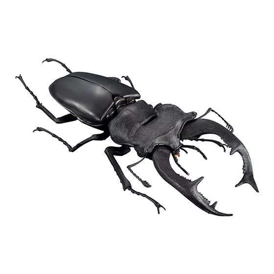 Bandai Gashapon Stag Beetle 05 Figure Stag Beetle Lucanus cervus Black 12cm