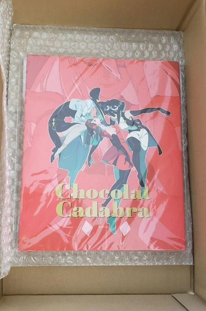 ADO CHOCOLAT CADABRA Archives Art Book Japanese Music Memoir