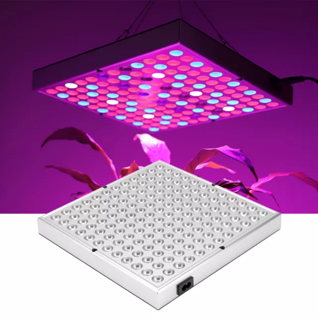 IP65 LED Grow Light Growing Lamp Full Spectrum for Indoor Hydroponic Plant 2