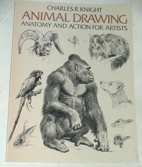 Animal Drawing: Anatomy & Action for Artists by Charles R. Knight. Dover PB vgc