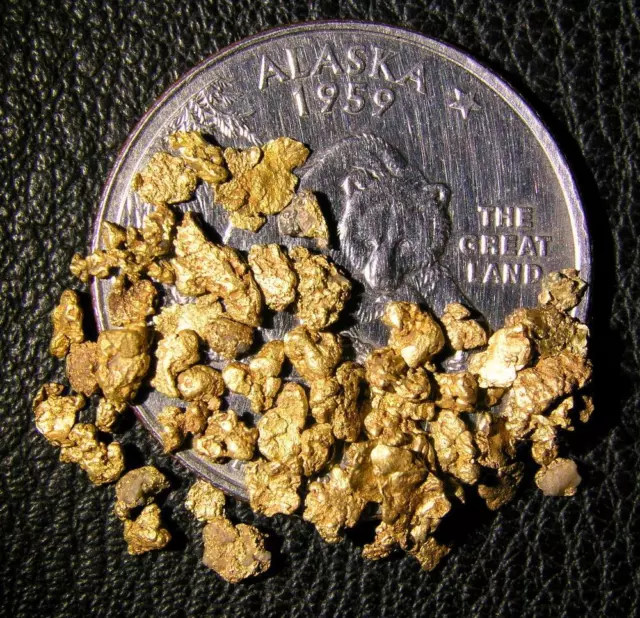 Alaska Gold Nuggets 2 grams - beautiful, natural,  Alaska gold !
