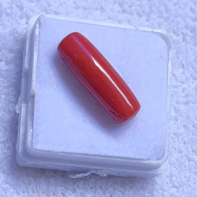 Cabochon de corail italien naturel de qualité AAA+, pierres précieuses en...