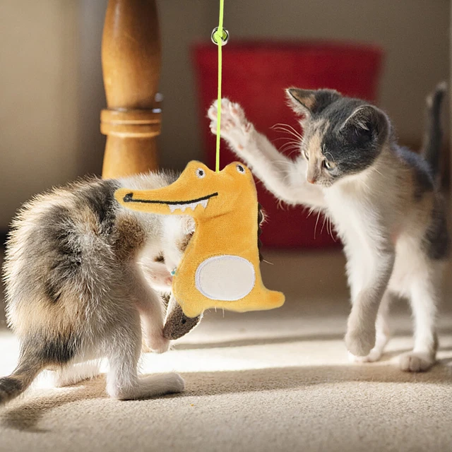 Peluche Divertido Juguete Gato Telescópico Frutas Y Verduras