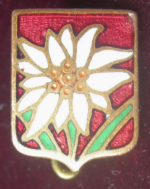 Broche Ancienne En émail Cloisonné Motif Edelweiss - Marque A.Augis Lyon - Pièce Vintage Et élégante