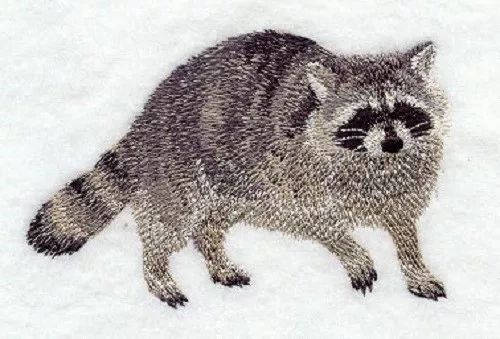 Embroidered Sweatshirt - Raccoon D1498
