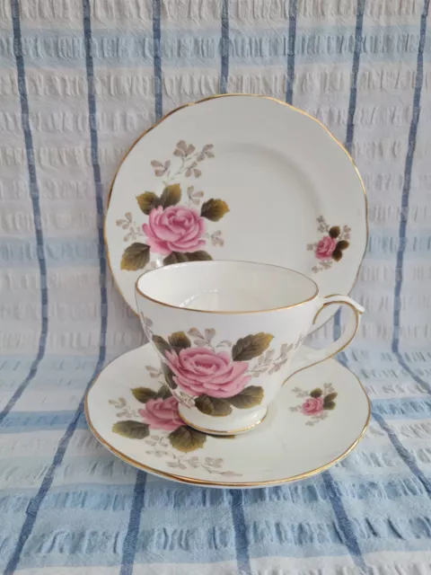 Vintage Duchess Bone China Pink Fern Rose Teacup Saucer Plate Trio Tea Set Vgc