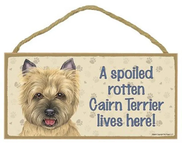 (SJT61988) A spoiled rotten Cairn Terrier (tan) lives here wood sign plaque 5" x