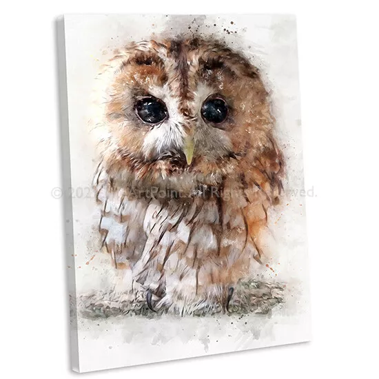 Tawny Owl Watercolour Style Canvas Print British Bird Wall Art Picture