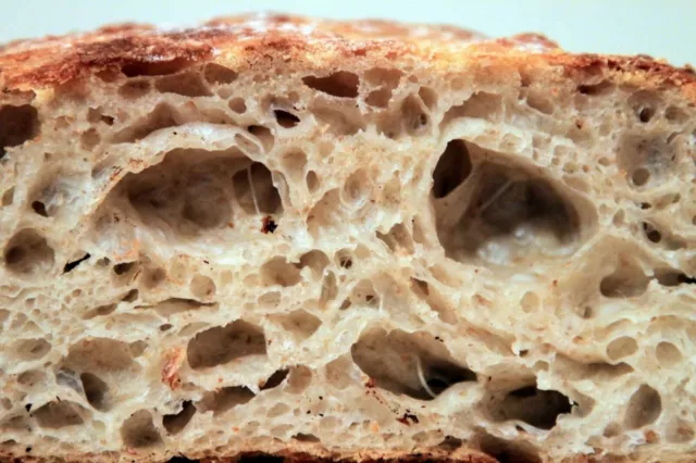 Speziato, San Francisco, lievito, antipasto, lievito, cottura al forno, pane/rotoli/ect.