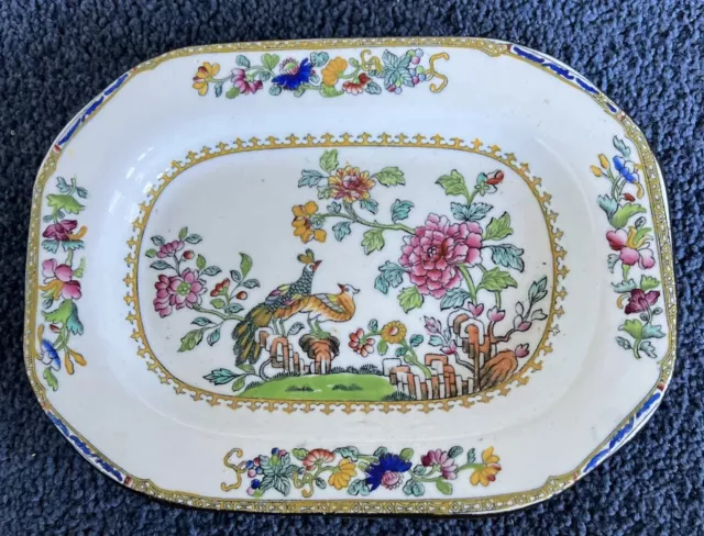 Antique Spode Copeland’s China Bowl. Exotic Pheasant Peacock Design #2118