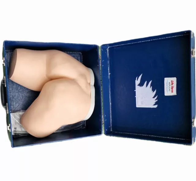 Life Form Anatomical Enema Administration Medical Trainer