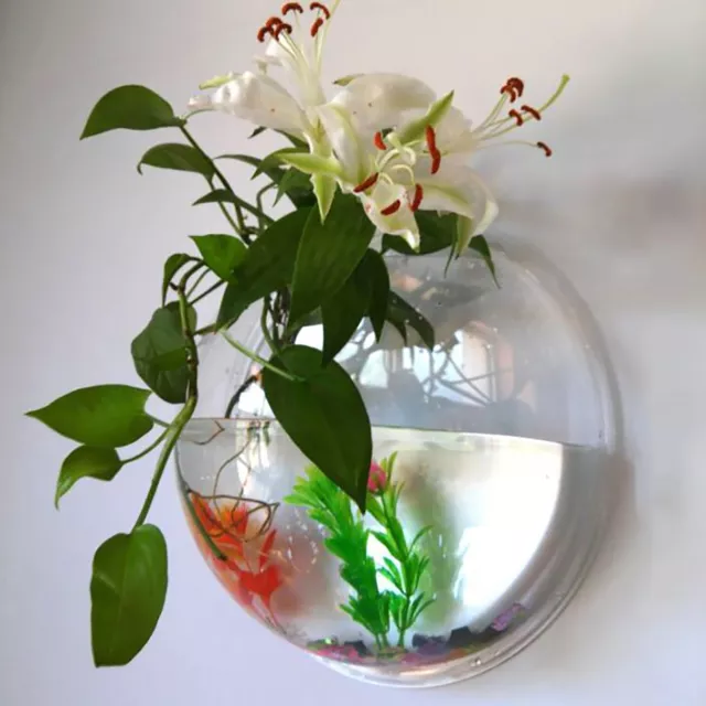 Wall Mounted Fish Bowl Aquarium Tank  Goldfish Plant Flower Home Art Decor