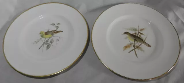 2x Royal Worcester Handpainted Bird plates