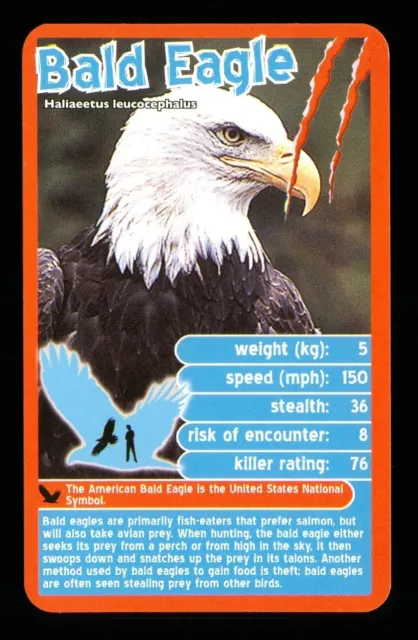 1 x info card deadliest predator Bald Eagle - R114