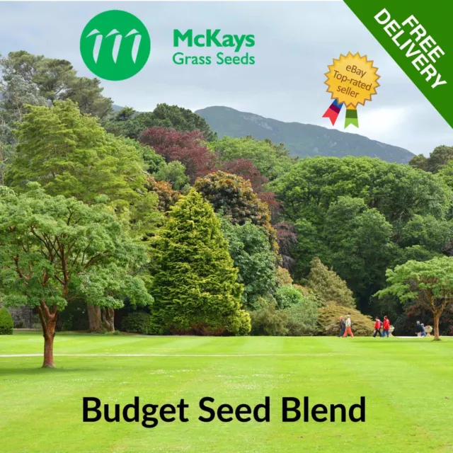 McKays Budget Grass Seed Cheap Grass Seed Bulk Grass Seed 5kg 10kg 20kg