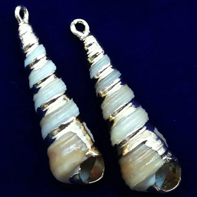 10Pcs 37x10x9mm Natural Gold Plated White Spiral Seashell Conch Pendant A-56BK