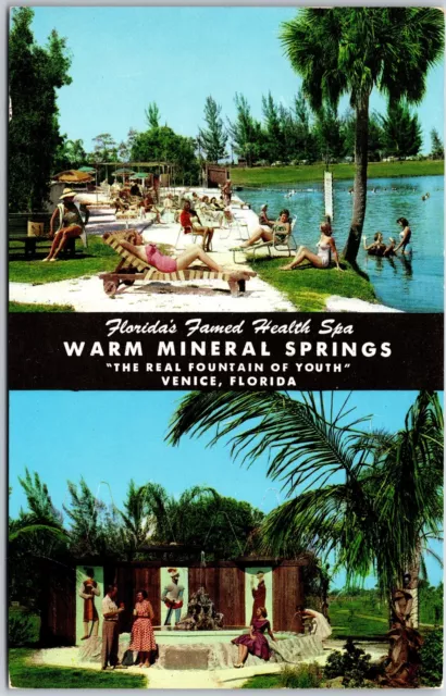Warm Mineral Springs Florida's Famed Health Spa Venice Florida Posted Postcard