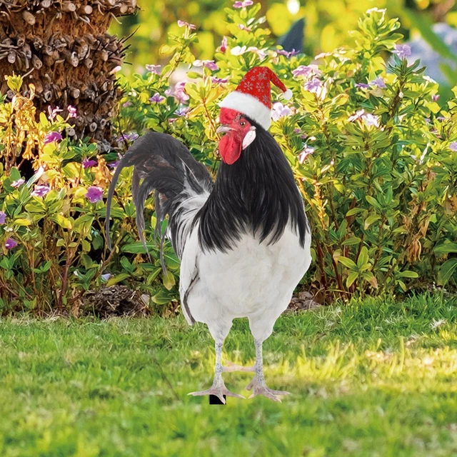 Chicken Sculpture, Chicken Yard Art Decor Rooster Statue Chicken Garden Stake