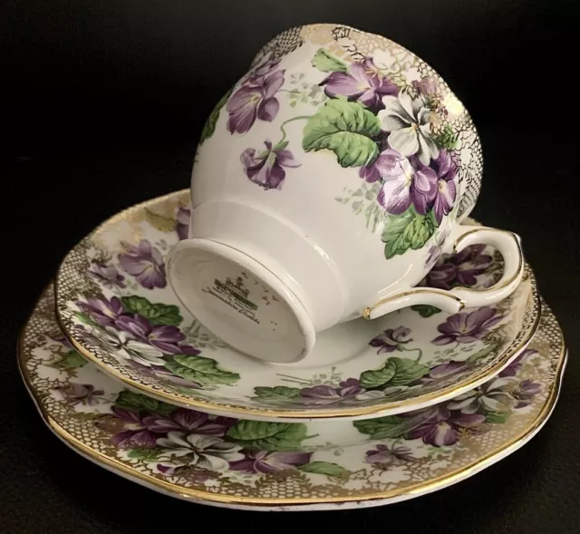 Salisbury Devonshire Violets Tea Cup Saucer Plate Trio, Made In England, VGC