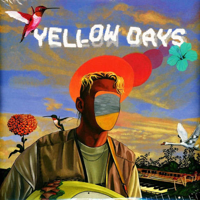 YELLOW DAYS A Day In A Yellow Beat Double LP Vinyl NEW EUR