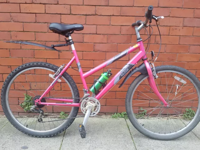 Raleigh magnum mountain bike online