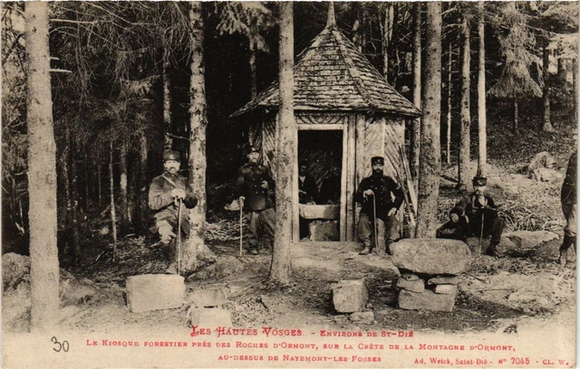 CPA Les Hautes Vosges - approx. de St-DIÉ - Le Kiosque Forestier Pres (657395)