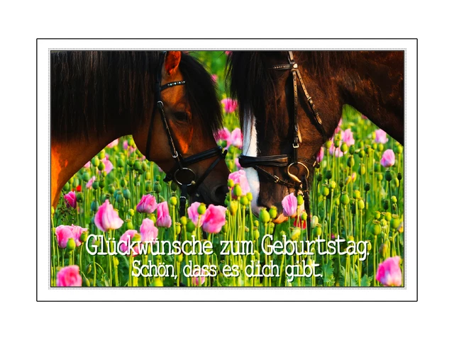 Carte D'Anniversaire Officielle Spirit Pour 6 Ans[u10326