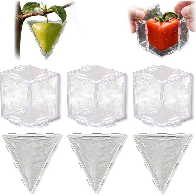 Shaping Mold Example FRUIT SHAPING MOLD for Growing Unique,Garden Fruit Mould Tool,Reusable ...