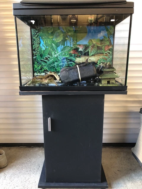 fish tank and stand used