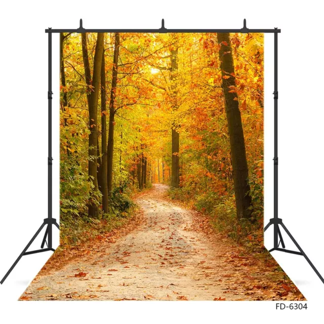 Autumn Forest Pathway Photo Backdrops Portrait Children Photography Backgrounds