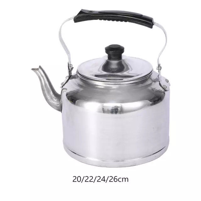 https://www.picclickimg.com/yDsAAOSwrOBlZQRM/Teapot-Cooker-Tea-Pot-with-Anti-Scald-Handle.webp