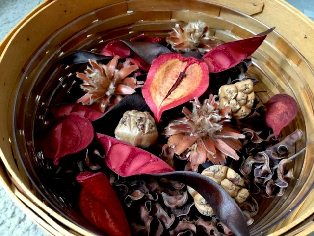 Relleno de cesta primitivo aceites esenciales vainilla canela aroma decoración rústica 7