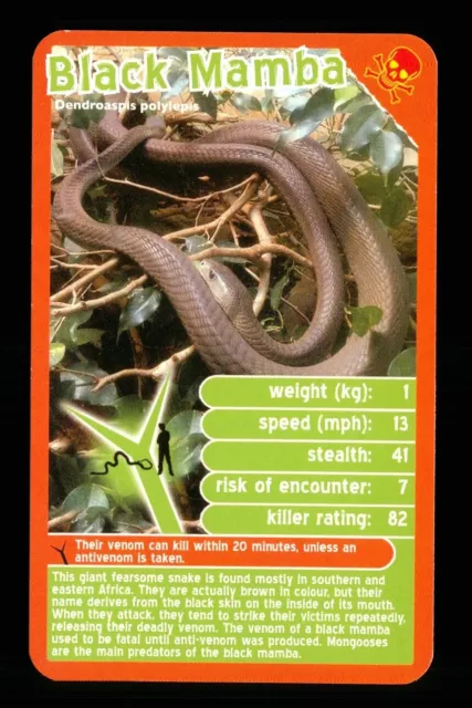 1 x info card deadliest predator Black Mamba snake - R114