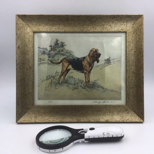 Henry Wilkinson Standing Bloodhound Ltd Edtn 6/250 Hand Coloured Print  FRAMED