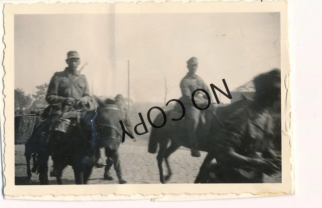 FOTO WK2 Gebirgsjäger Regiment 98 im Marsch auf Pferden usw. X89