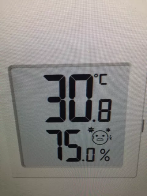 Room Thermometer