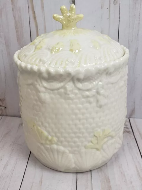 Belleek Irish Canister Cookies Biscuits Sea Shells Nautical Vintage Green Mark