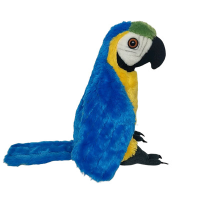 wild republic parrot