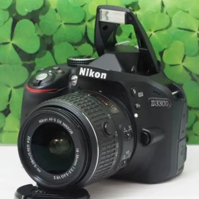 Nikon D3300 24.2 MP  Digital SLR camera Body Shutter Count Compact Flash used