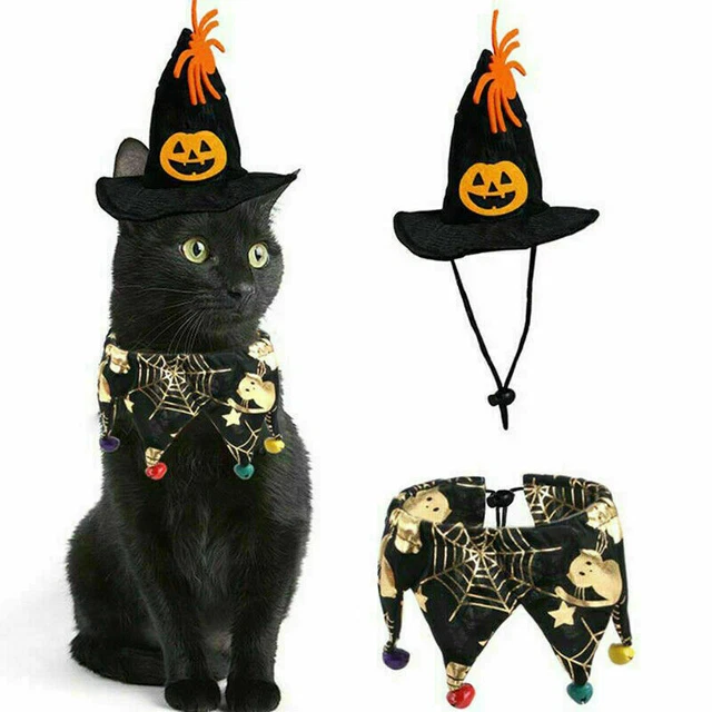 Halloween Haustier für Hund Katze Fledermaus Outfit Party Kostüm  lustiges A +
