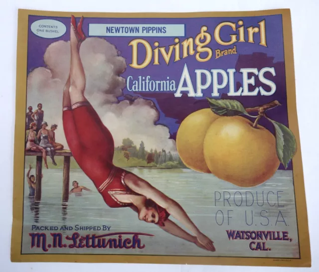 1920's Fruit Crate Label, Diving Girl Apples, Lettunich, Watsonville CA